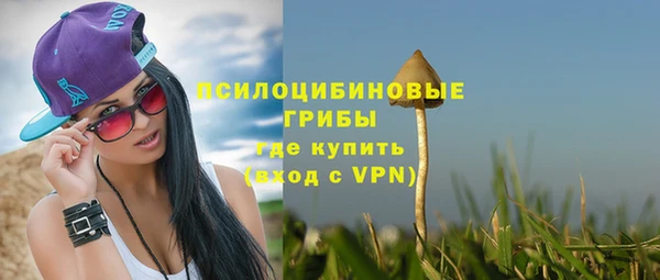 молекула духа Балахна